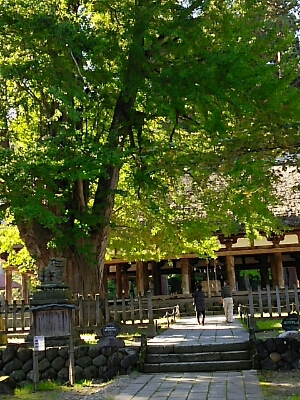 b0163088_51818.jpg