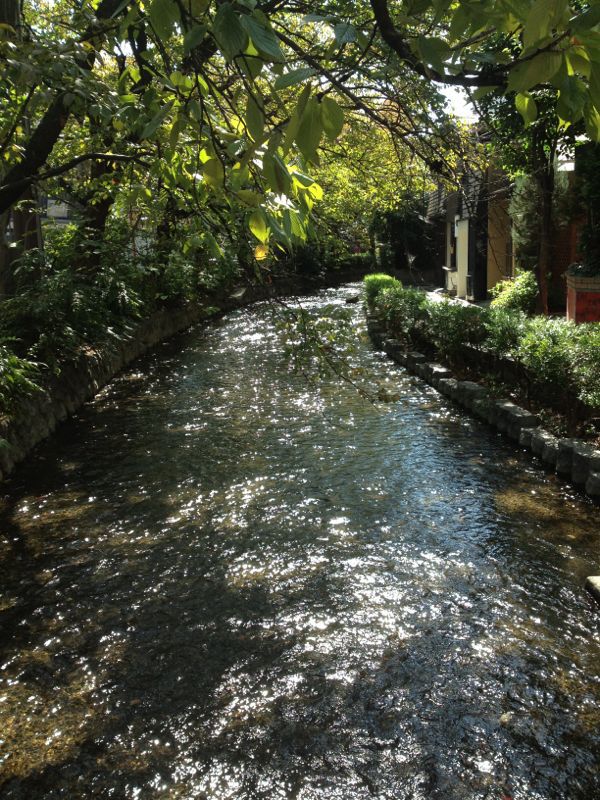 e0152493_23363172.jpg
