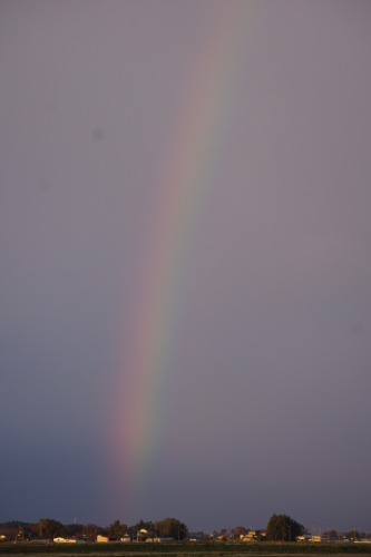 c0337494_16395044.jpg