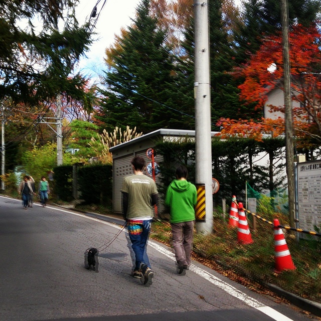 f0137694_87206.jpg