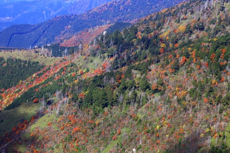 b0236595_1111555.jpg