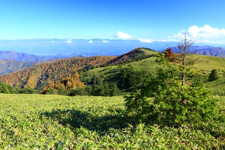 b0236595_11124738.jpg