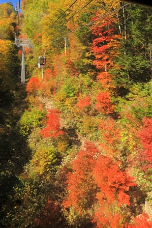 b0236595_115188.jpg