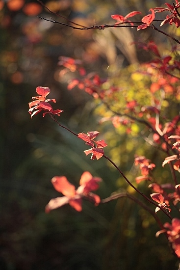 e0209997_20115950.jpg