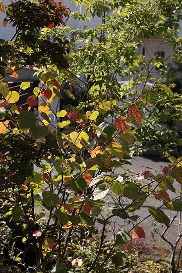 e0209997_20123086.jpg