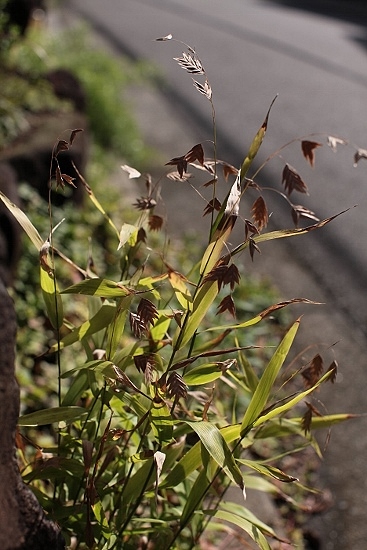 e0209997_201247100.jpg