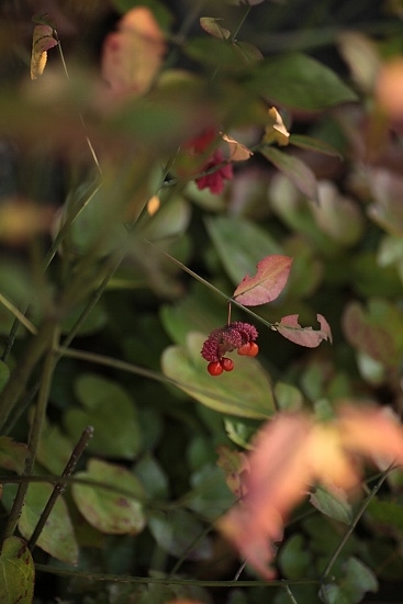 e0209997_20135277.jpg