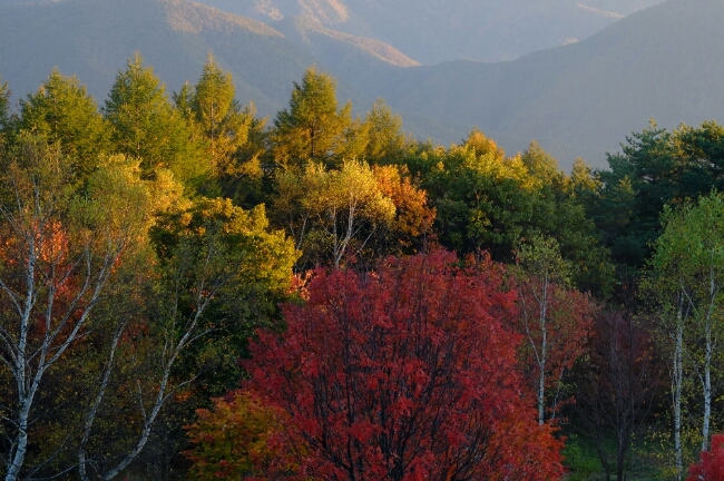 e0304001_21375761.jpg