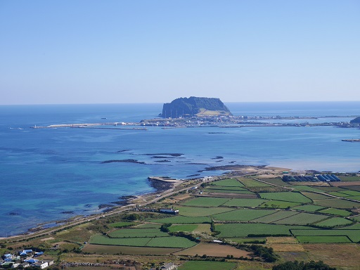 a0140305_3434499.jpg