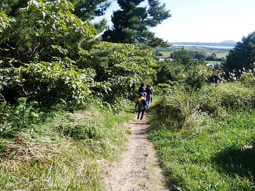 a0140305_3442766.jpg
