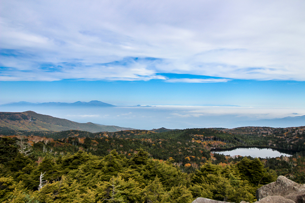 b0244811_2024585.jpg