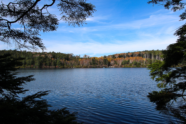b0244811_20295134.jpg