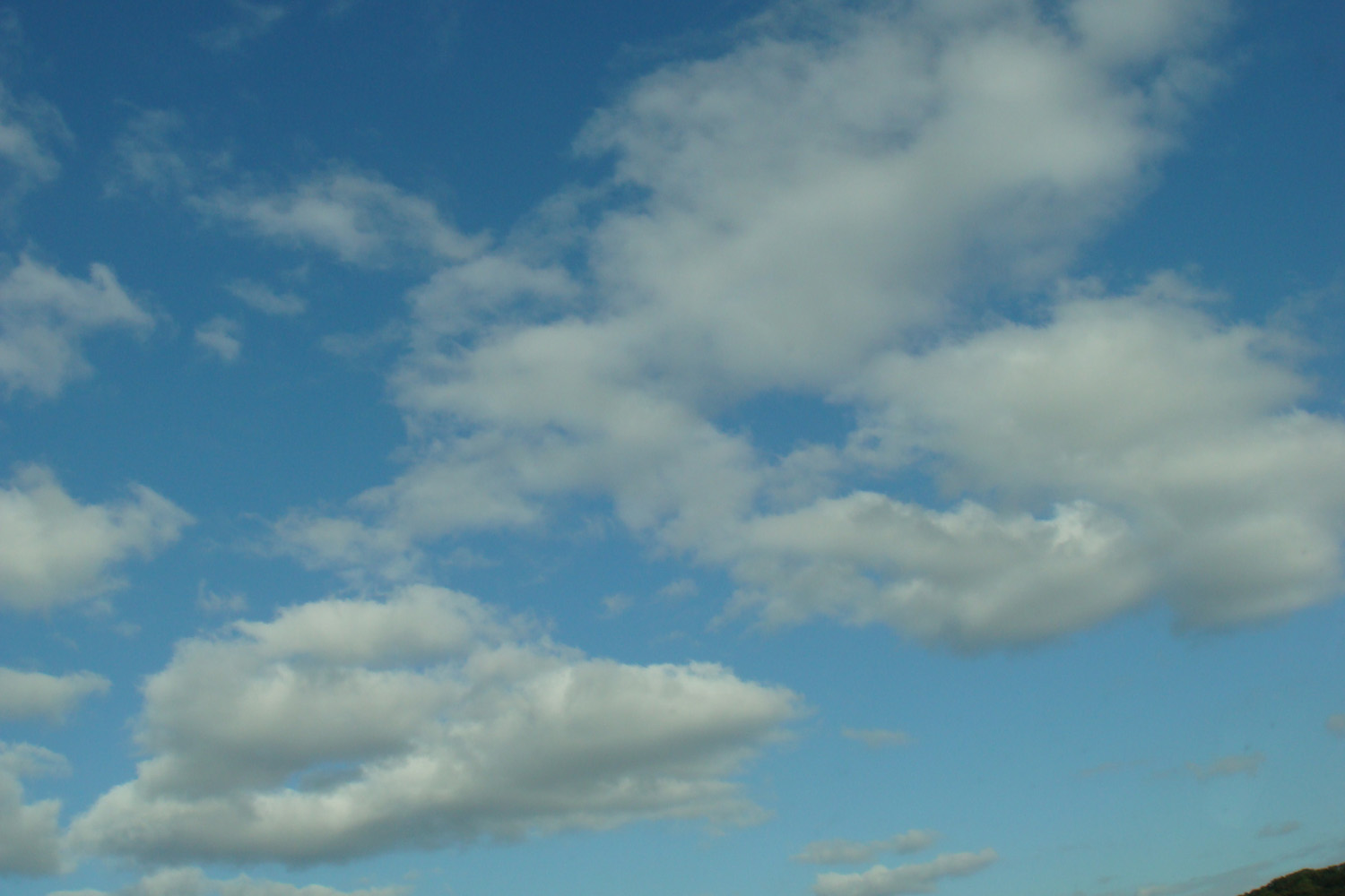 a0019212_9501144.jpg