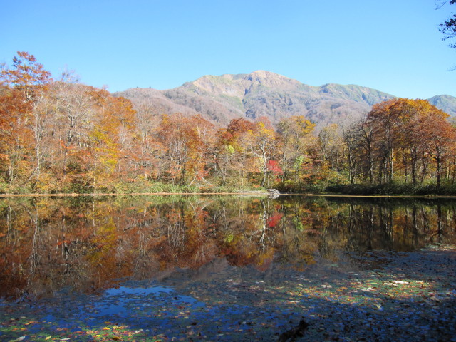 d0103314_18442210.jpg