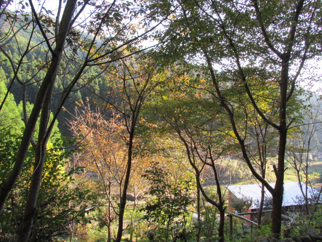 f0341616_06540014.jpg