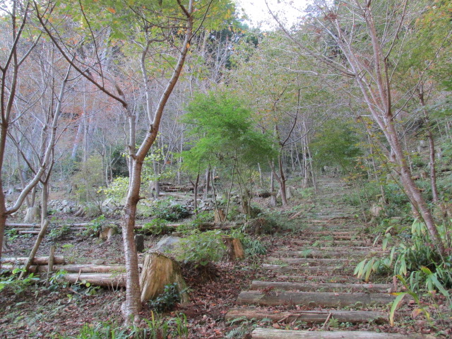 f0341616_06571902.jpg