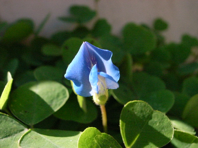 f0341616_07093118.jpg