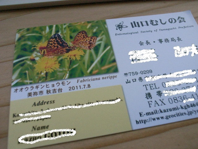 f0341616_07155072.jpg