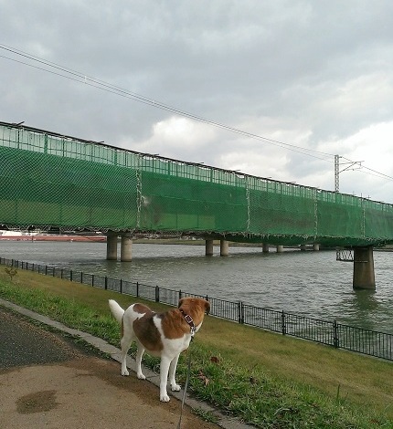 c0084117_18213528.jpg