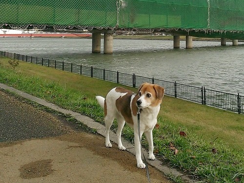 c0084117_18231089.jpg
