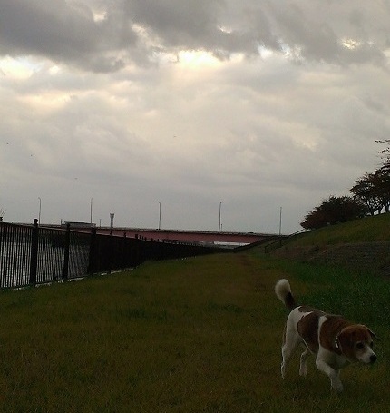c0084117_1824088.jpg