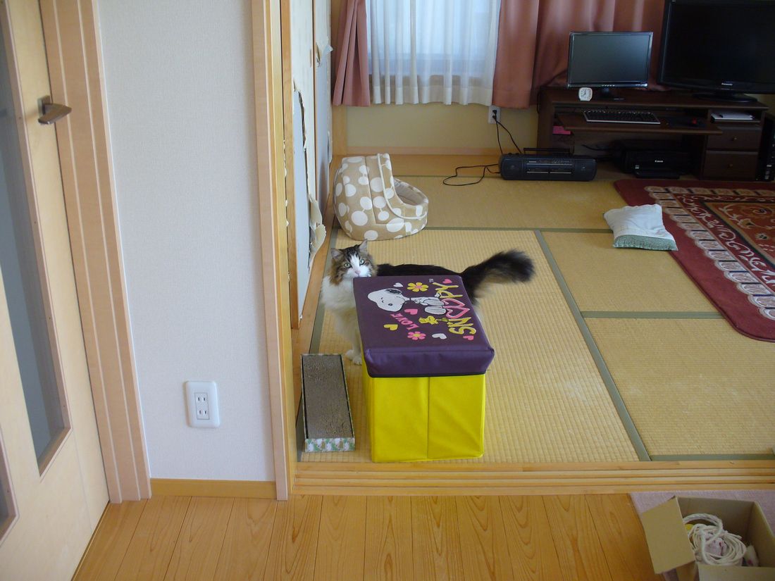 f0346527_23141748.jpg