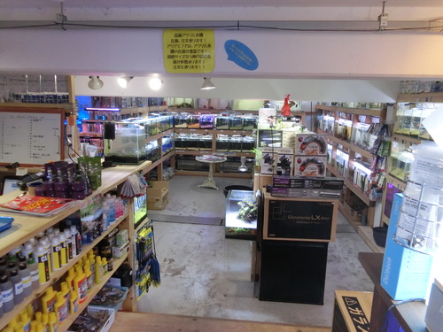 f0304633_15391981.jpg