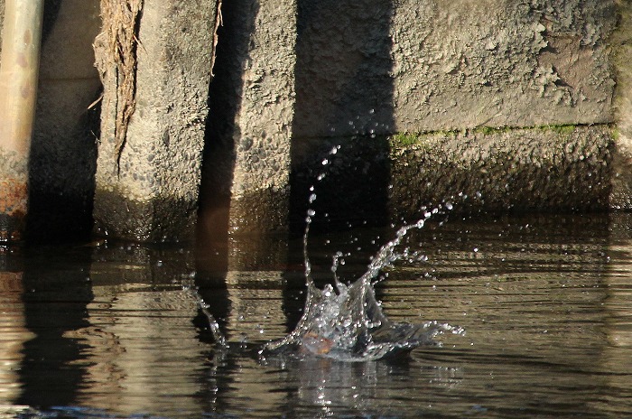 f0327034_17033167.jpg