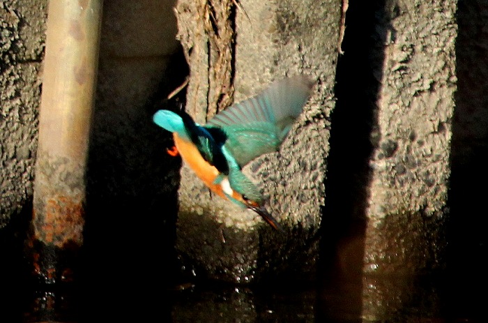 f0327034_17033479.jpg