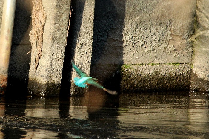 f0327034_17035244.jpg