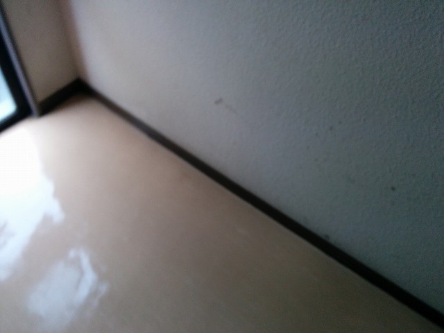 f0208737_8202634.jpg