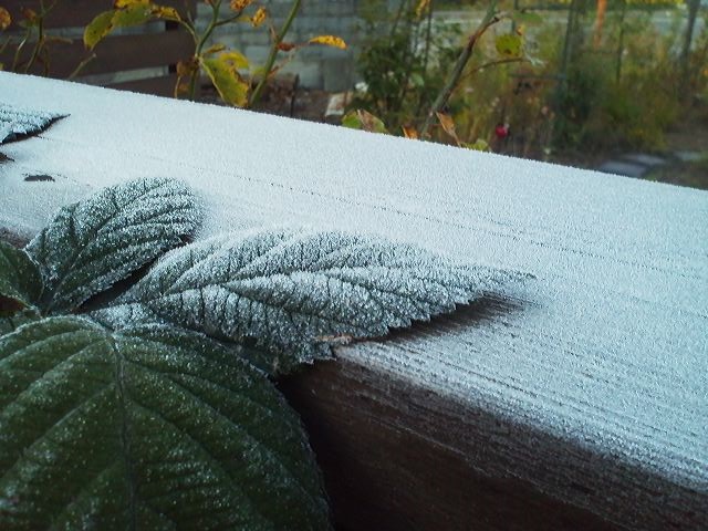 a0272241_14581191.jpg