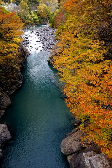 b0122448_22382695.jpg