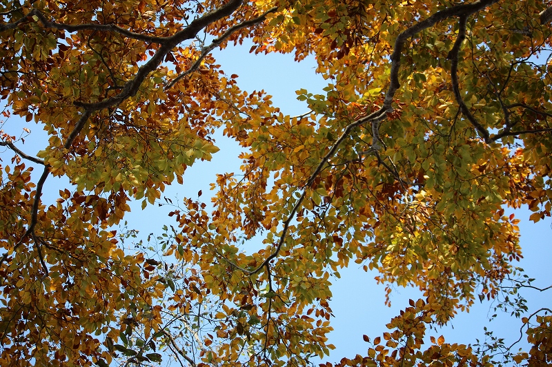 b0250154_22243467.jpg