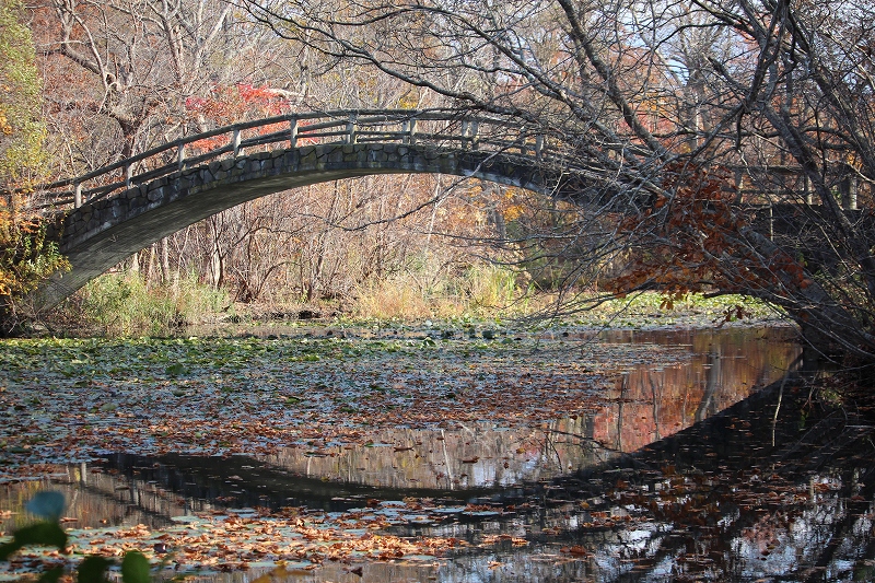 b0250154_22250525.jpg