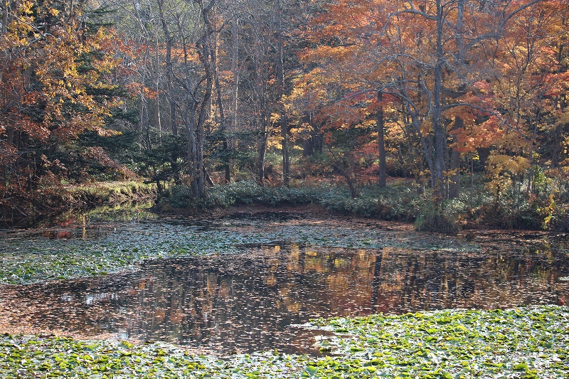 b0250154_22255318.jpg