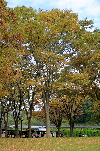 e0262257_10050388.jpg