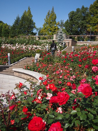 b0246758_21104776.jpg