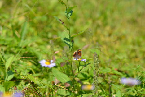 b0267163_20124326.jpg