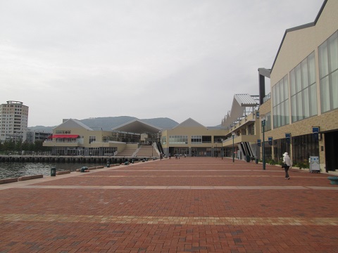 d0029363_844138.jpg
