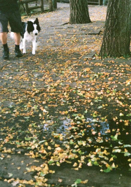 c0082066_2249961.jpg