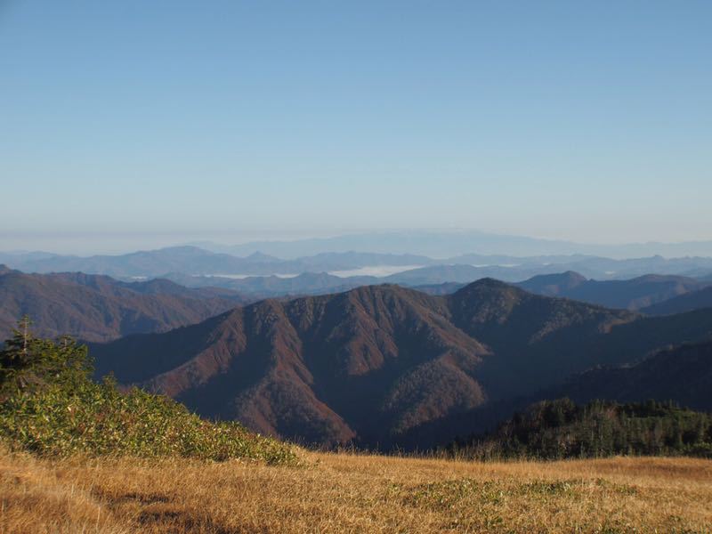 c0321967_88279.jpg