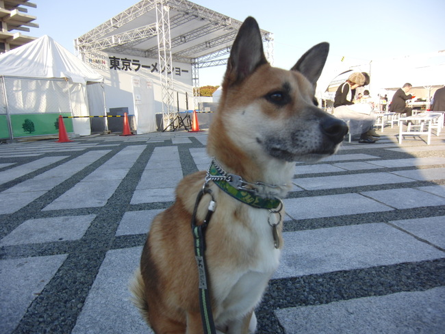b0246876_21413580.jpg