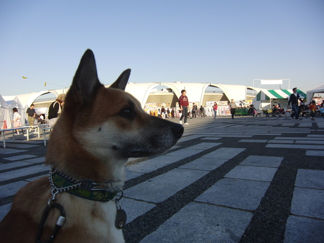 b0246876_21432374.jpg