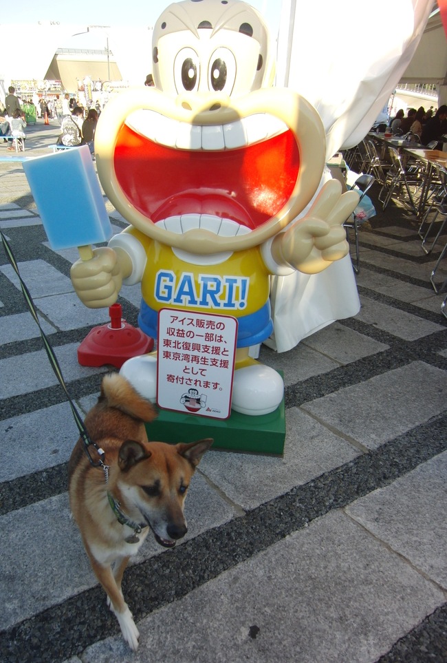 b0246876_21481959.jpg