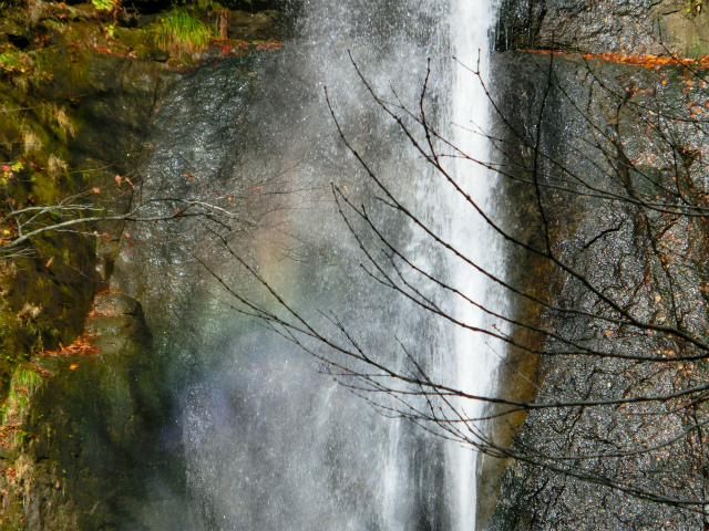d0165378_104377.jpg