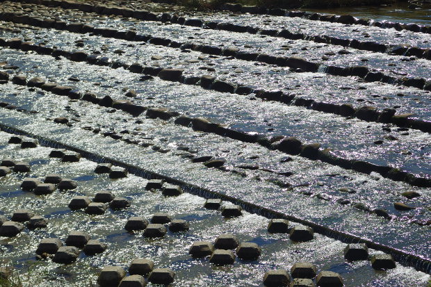 a0189883_23275082.jpg