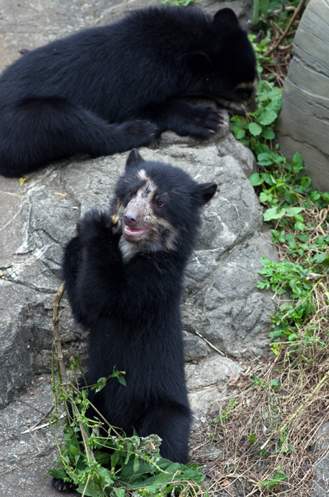 a0127785_21151364.jpg