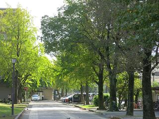 e0130185_21221857.jpg