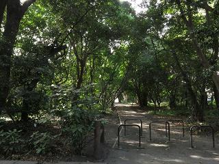 e0130185_21265162.jpg